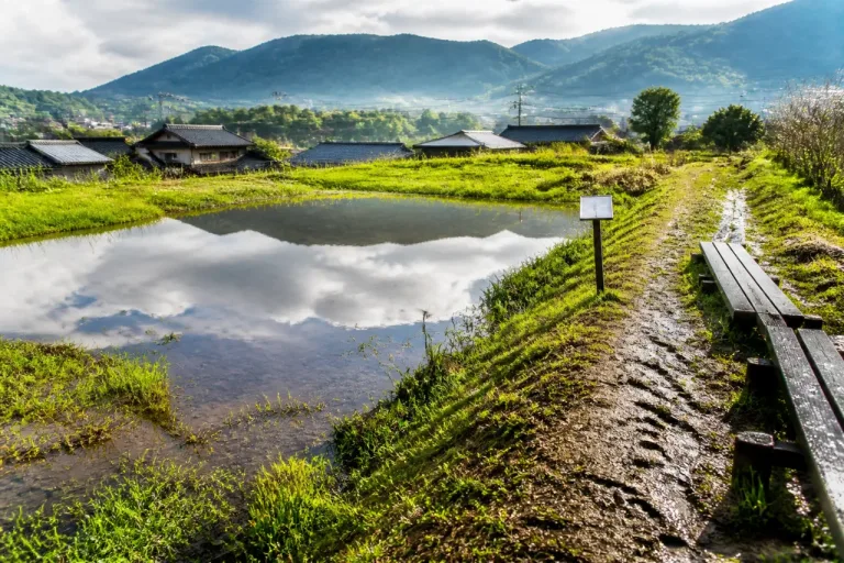 佐世保の“幻の池” 五蔵池、雨量増加で現れる自然現象に注目