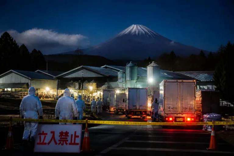 静岡・富士宮で豚熱に対する全国初の「選択的殺処分」が実施