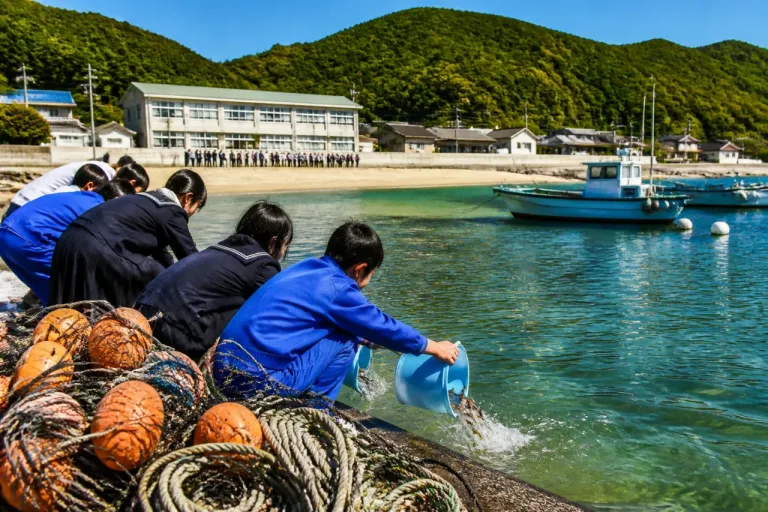 粭島で児童生徒がトラフグ2千匹放流、資源保護へ一役