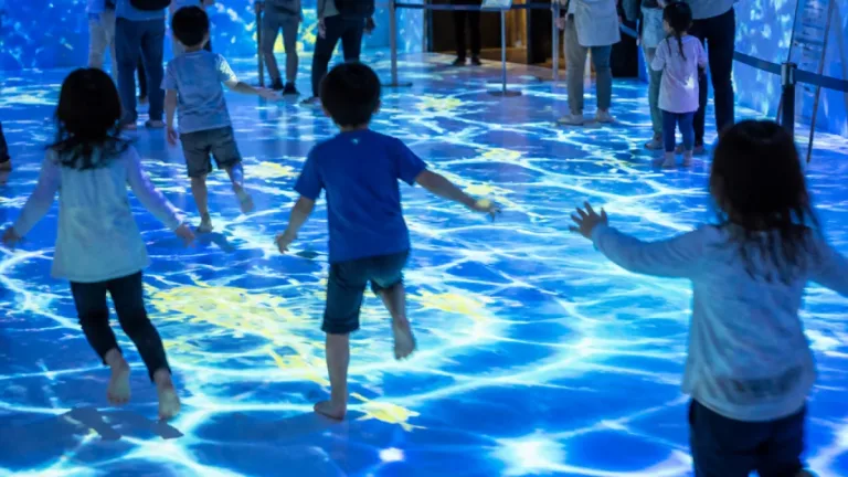 函館で初公開、チームラボの体験型展示が開幕