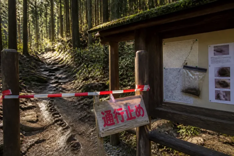 都内ツキノワグマ推定最大378頭 登山道通行止めに波及