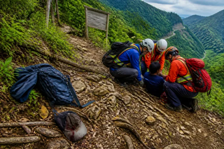 東京・檜原の都民の森でクマ遭遇、登山者が滑落し顔にけが
