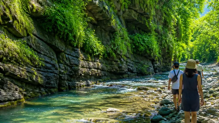 苫小牧・樽前ガロー 緑の岸壁とせせらぎ、夏の涼を届ける