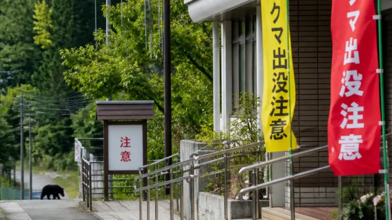 山形・長井で福祉施設近くにクマ出没 市が市内全域に注意喚起