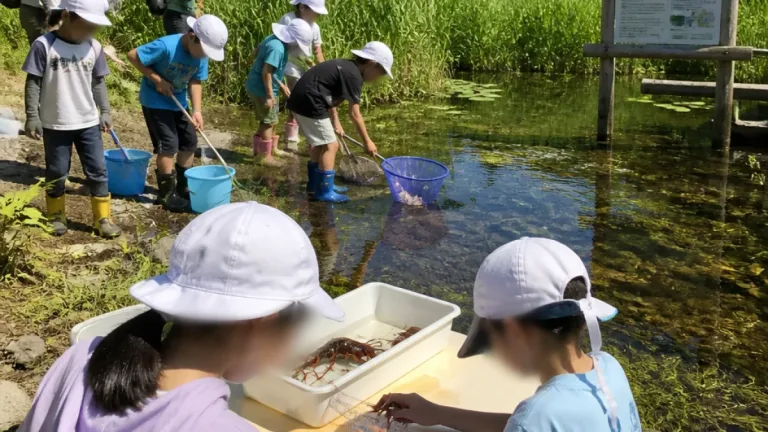 山形・天童の小学生が天然記念物カクレトミヨの保護活動に参加